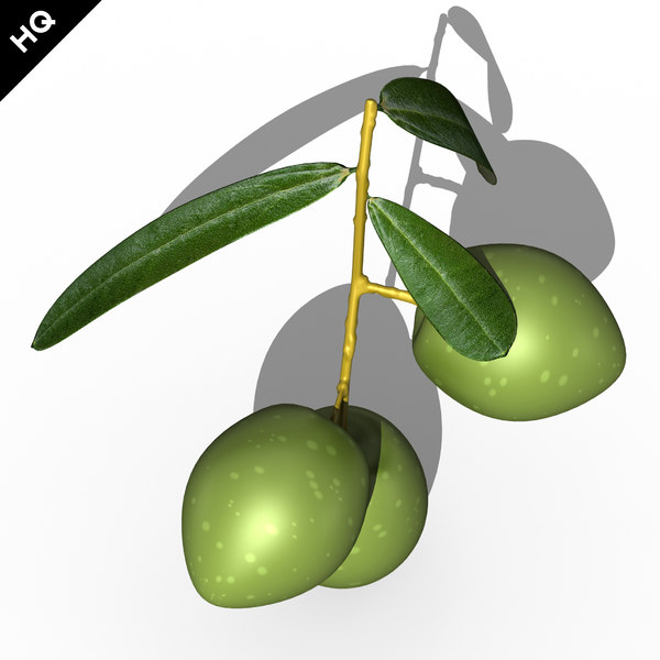3d olives branch model