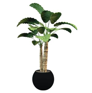 tropical plant 3ds