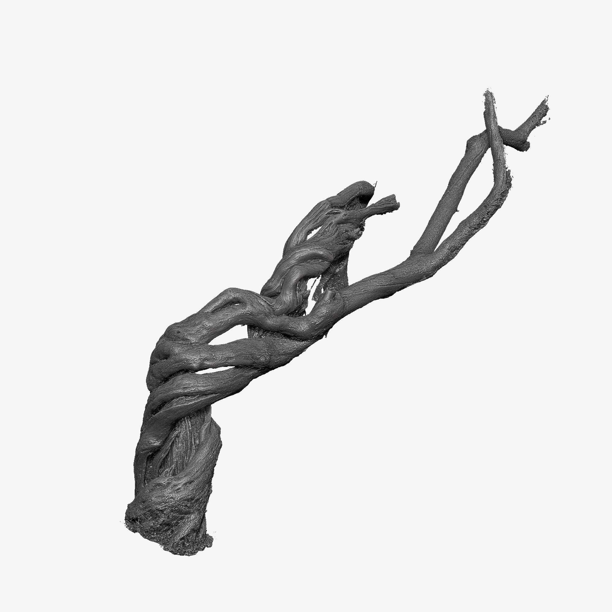 twisted-cracked-tree-trunk-3d-model