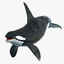 killer whale rigged 3d model