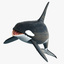 killer whale rigged 3d model