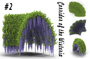 3d model wisteria corridor flowering