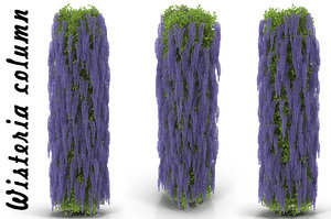 3d model of wisteria column flowering