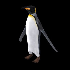 emperor penguin 3d max
