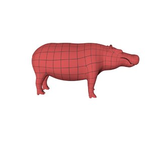3d model of base mesh hippo