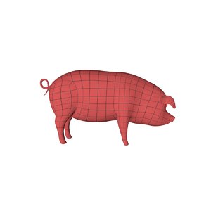 base mesh pig 3d model