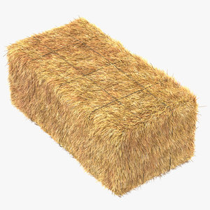 hay bale square 3d max