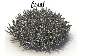 sea corals 3d model