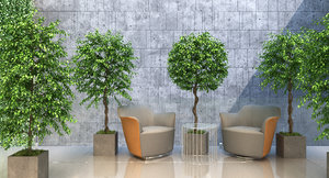 2 plant tree fbx
