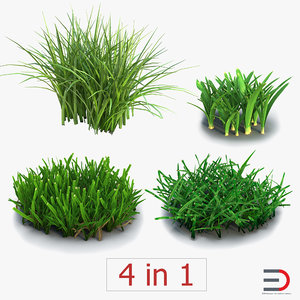 grass set field 3d model