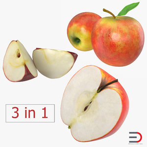 apple fruit 2 3d model