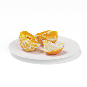 halved tangerine white plate 3d max