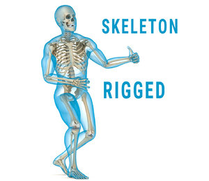 3d human skeleton body rigged model