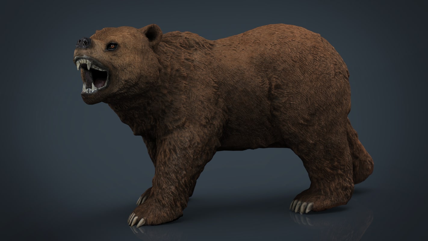 Bear Model 3D Free