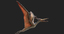 pteranodon rigged obj