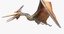 pteranodon rigged obj