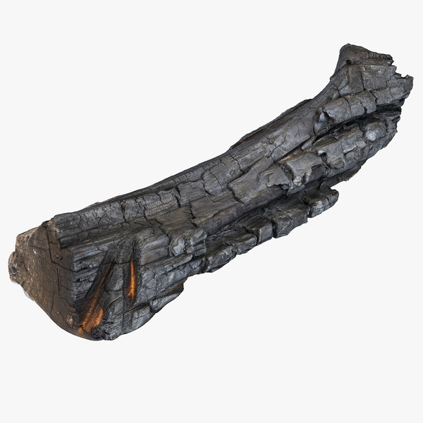 现实木头被烧的灰烬斑点堆土壤3d模型