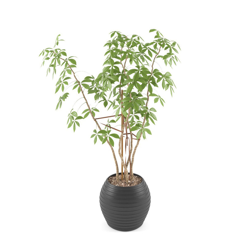 realistic plant 3d max