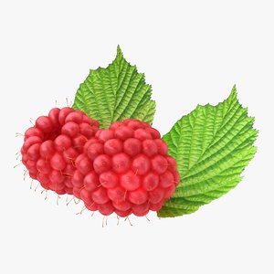realistic raspberry 3d max