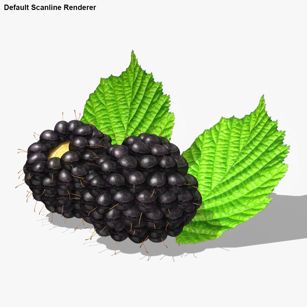 3d realistic blackberry