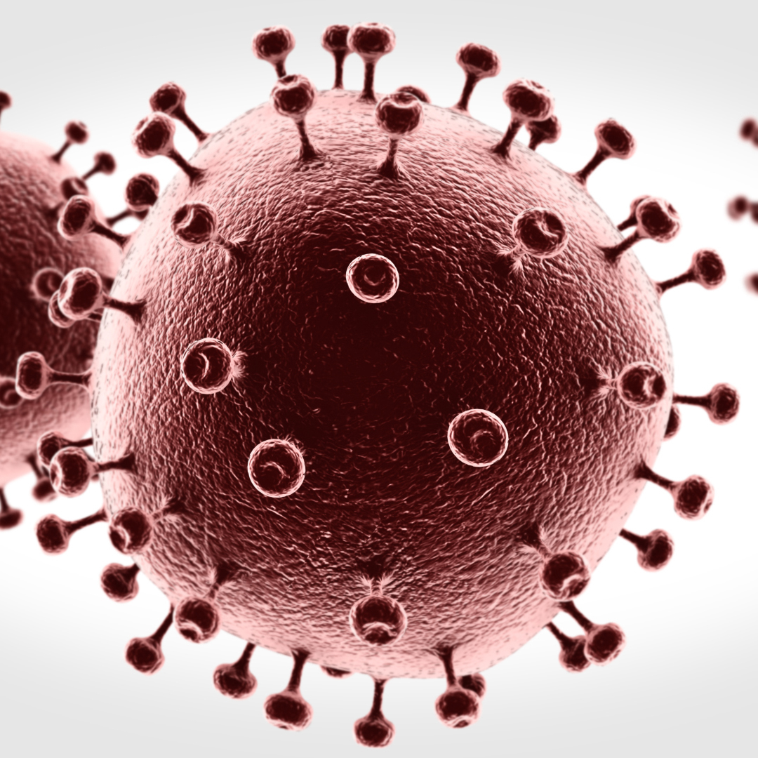  hiv  aids  virus  3d model