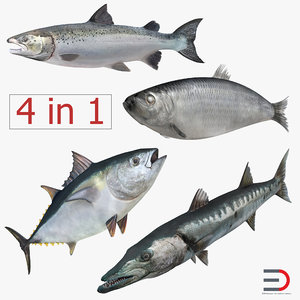 fishes 2 salmon barracuda max