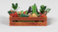 vegetables box 3d 3ds