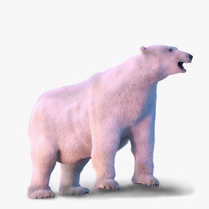 3d max rigged polar bear