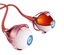 eye anatomy inner structure 3ds