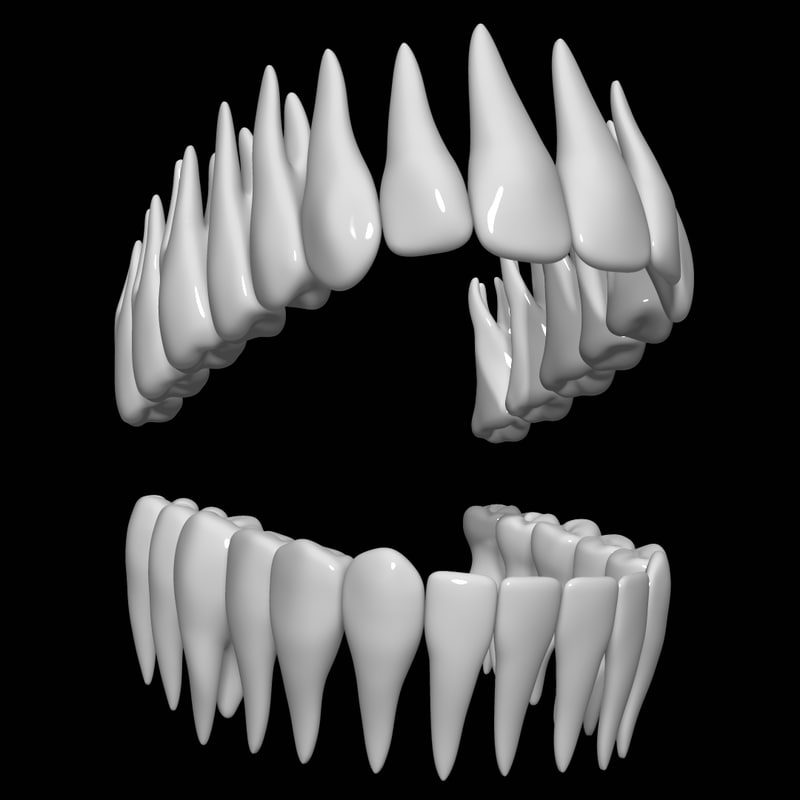 teeth 3d model