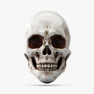 obj human skull