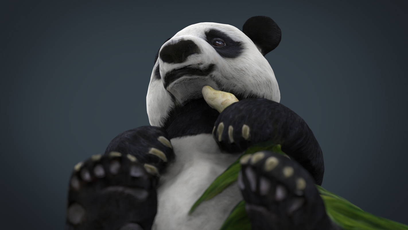 panda 3d model