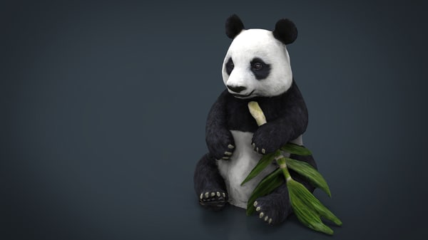 熊猫3d模型 Turbosquid