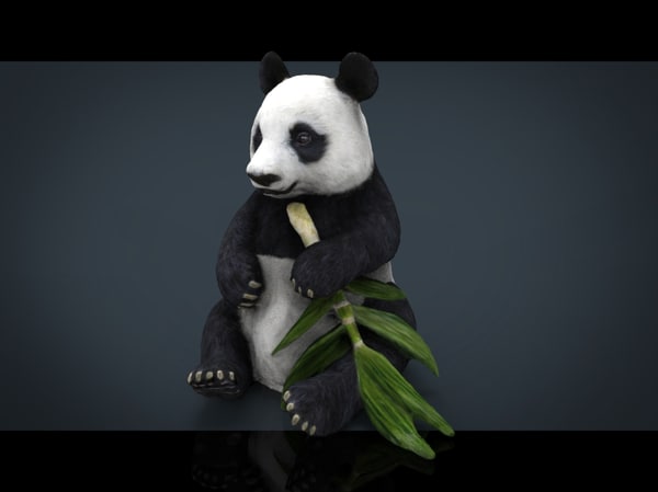 panda 3d model