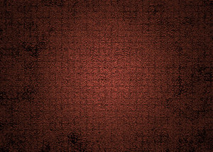 Door Texture