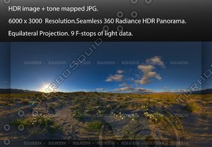 SUNRISE OVER ANZA-BORREGO DESERT SUPER BLOOM #1, 360 PANORAMA #559