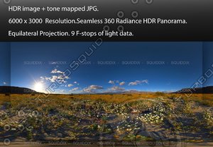 SUNRISE OVER ANZA-BORREGO DESERT SUPER BLOOM #2, 360 PANORAMA #561