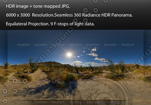 OCOTILLO FOREST IN ANZA-BORREGO DESERT , 360 PANORAMA #562
