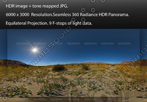 MORNING AT ANZA-BORREGO DESERT SUPER BLOOM #3, 360 PANORAMA #563