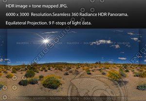 YELLOW FLOWERING BRITTLEBUSH IN DESERT SUPER BLOOM, 360 PANORAMA #566