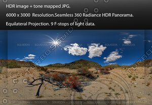 RED FLOWERING CHUPAROSA IN DESERT SUPER BLOOM , 360 PANORAMA #567
