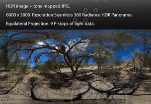 UNDER A PALO VERDE TREE  , 360 PANORAMA #568