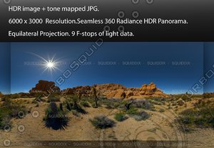 JOSHUA TREE ROCK FORMATIONS 2017 # 3 , 360 PANORAMA #569
