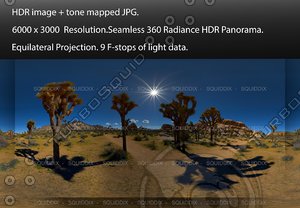 JOSHUA TREE GROVE , 360 PANORAMA #573