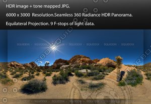 JOSHUA TREE ROCK FORMATIONS 2017 # 7 , 360 PANORAMA #574