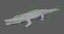realistic crocodile rigged 3d model