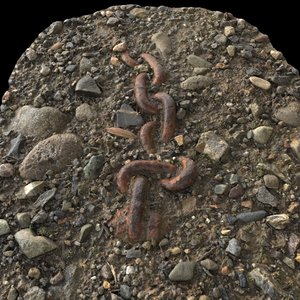 Chain Link in Dirt
