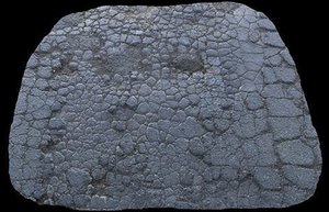 Cracked Asphalt 1