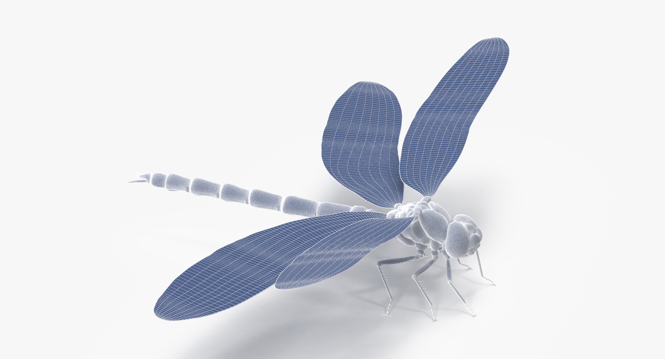 3d dragonfly rigged model