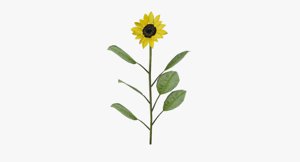sunflower flower sun 3d max